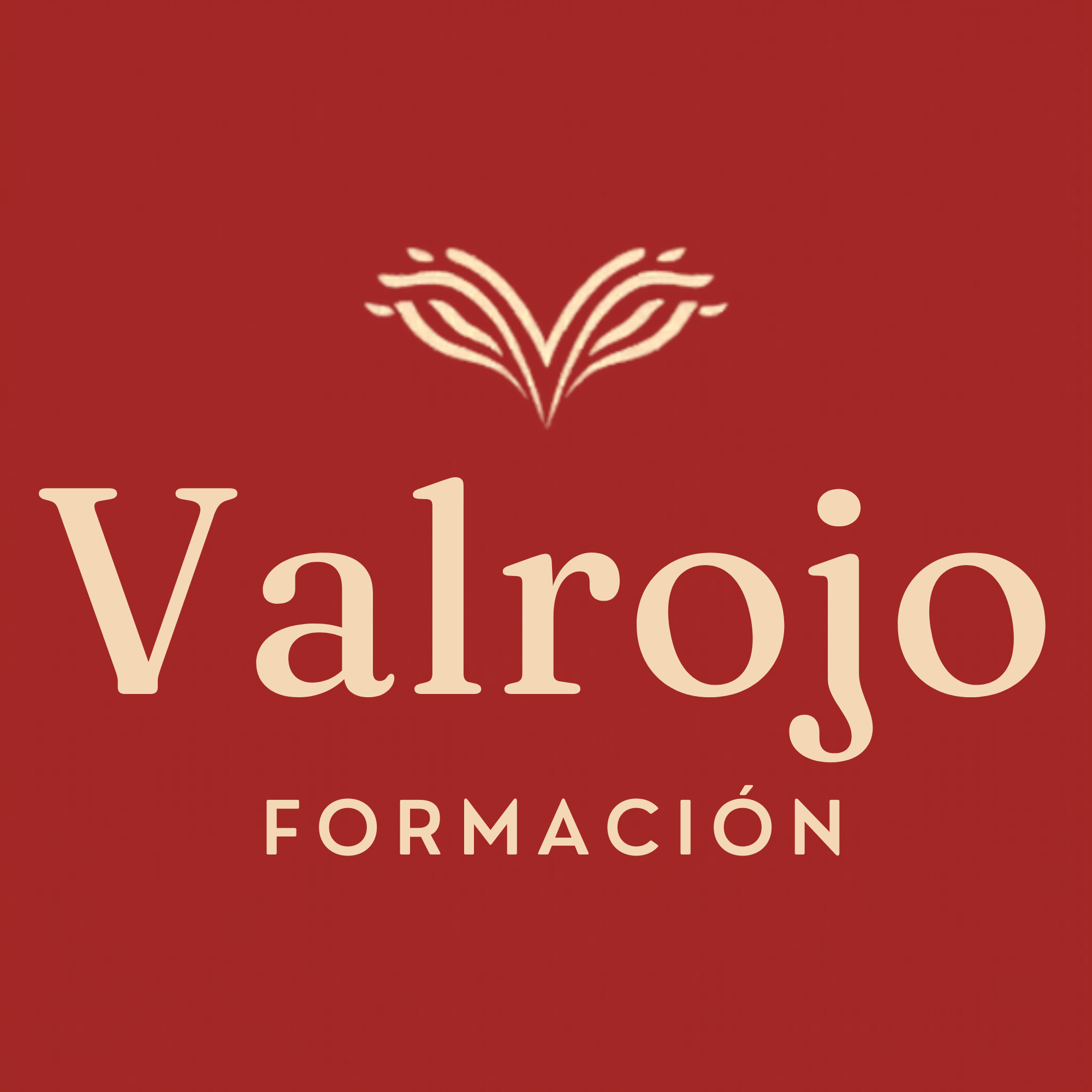 Valrojo Formación - Logo